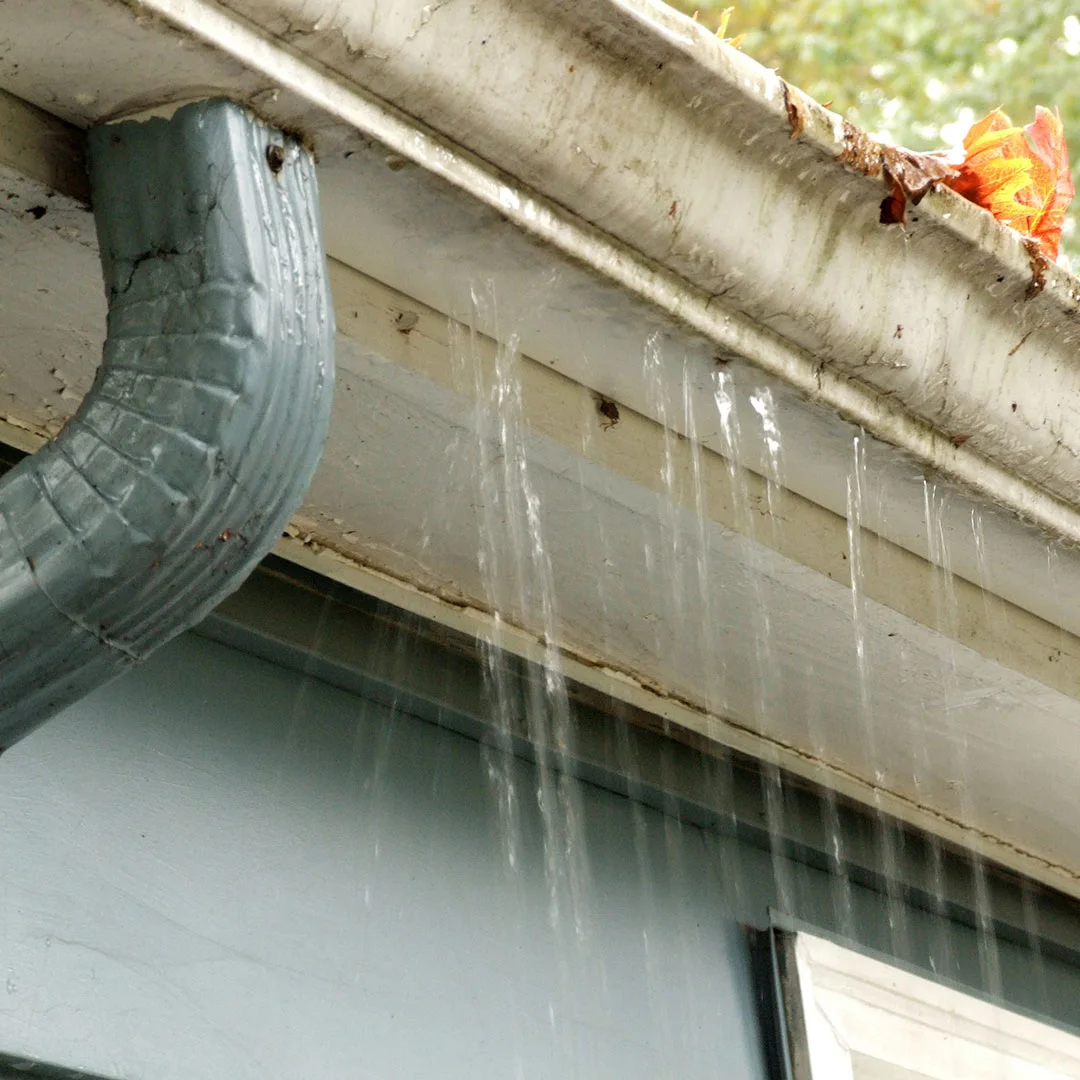Gutters before replacement — old, clogged system on a Pacific Northwest home